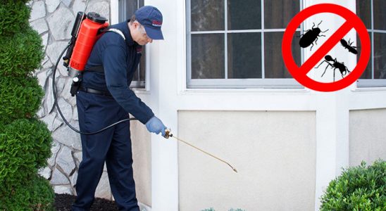 Torbalı Fare İlaçlama böcek ilaçlama ve haşere kontrolü — ilaclama-tr.com